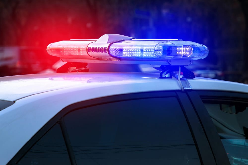 New Glarus Police Report Notes Increase in Citations, Fraud Scam, and Community Training