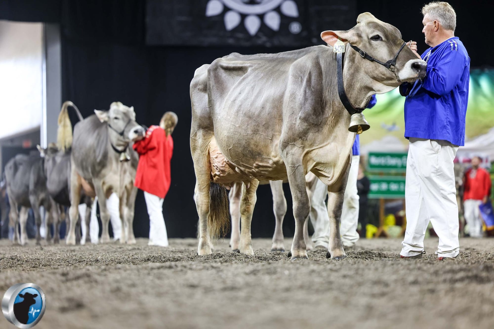 Voegeli Farms Earns National All-American Nominations