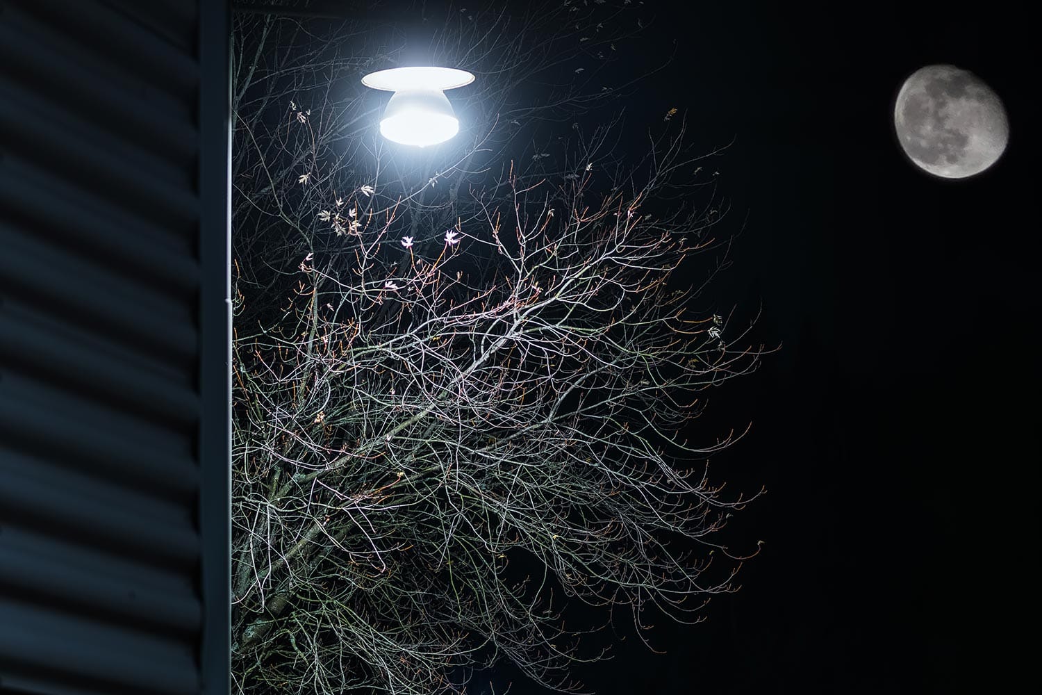 Mid-January Spring Tease: New Glarus Hits Mid-50s Amid Rare Winter Warmth